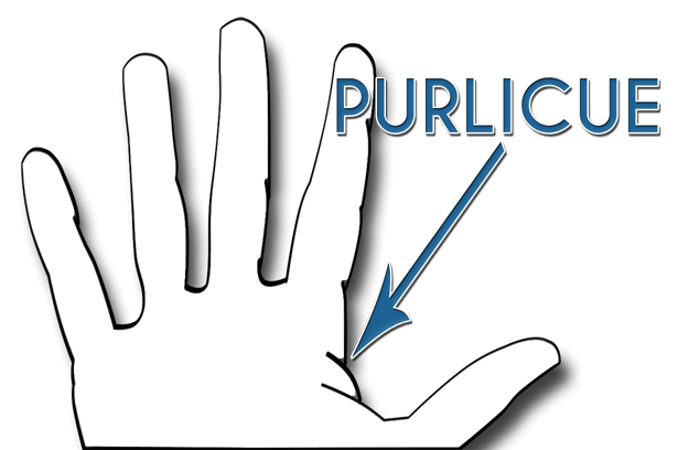 This image points to the location of the purlicue on the human hand